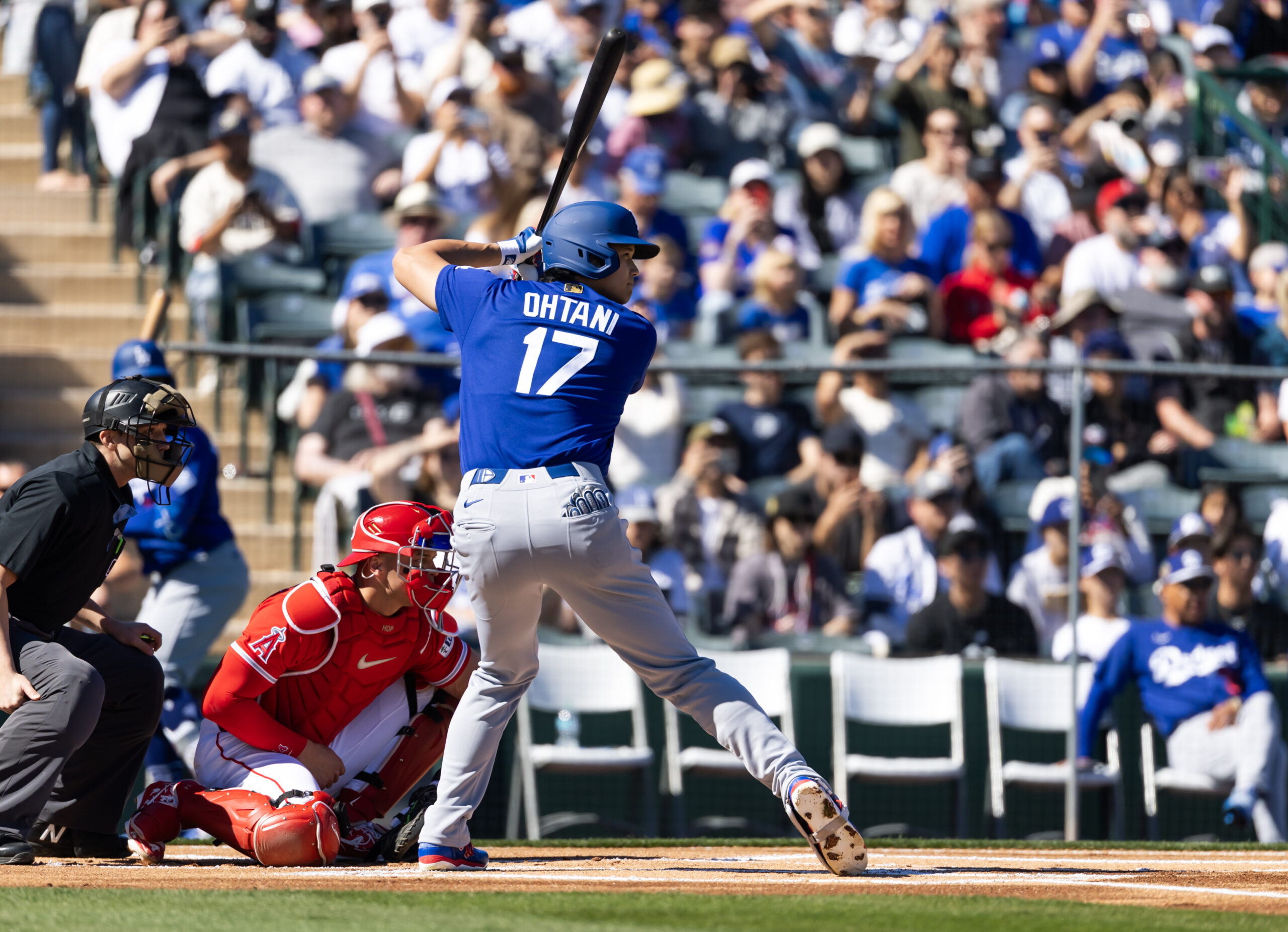 Shohei Ohtani Dodgers Projection Sets Up 1.01 Fantasy Draft Battle With Aaron Judge